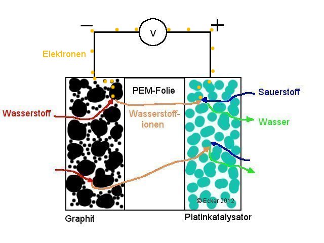 Schema der PEM-Brennstoffzelle